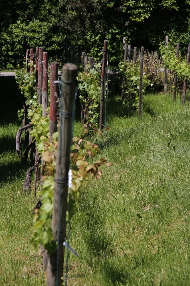 Landhaus Strussnighof Pörtschach am Wörthersee Εξωτερικό φωτογραφία